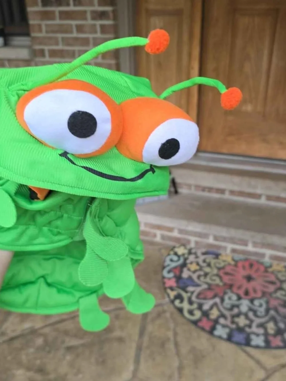 Green Caterpillar Dog Costume Sz M NWOT